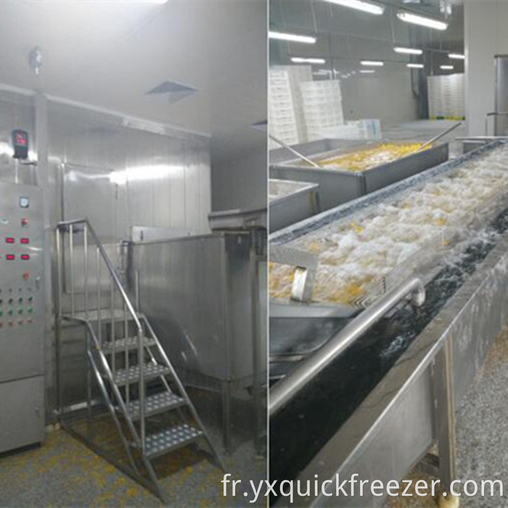 Iqf Fludized Tunnel Freezer For Corn